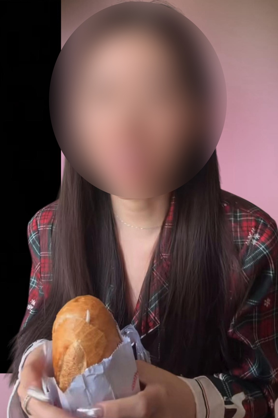 bánh mì ảnh 1 banh mi anh 1