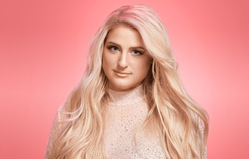 Made You Look,  Meghan Trainor,  Gucci,  Louis Vuitton anh 2