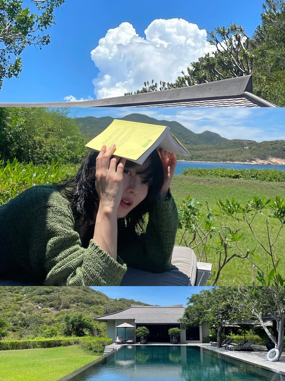 Hình ảnh