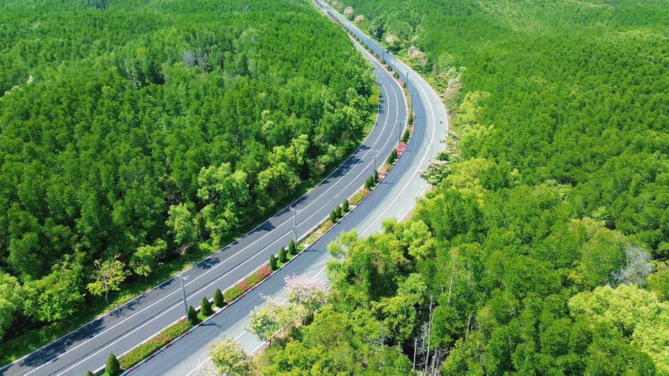 Vinhomes Green Paradise anh 1