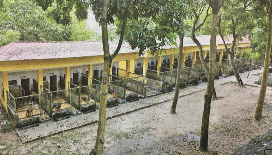 Cho nghiep vu anh 2