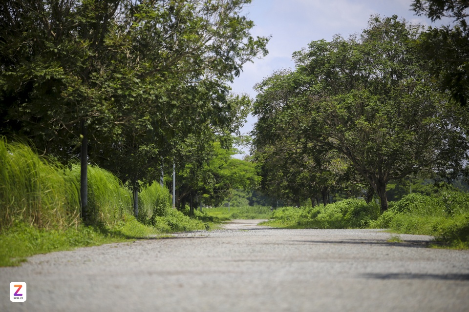 bat dong san binh duong anh 11