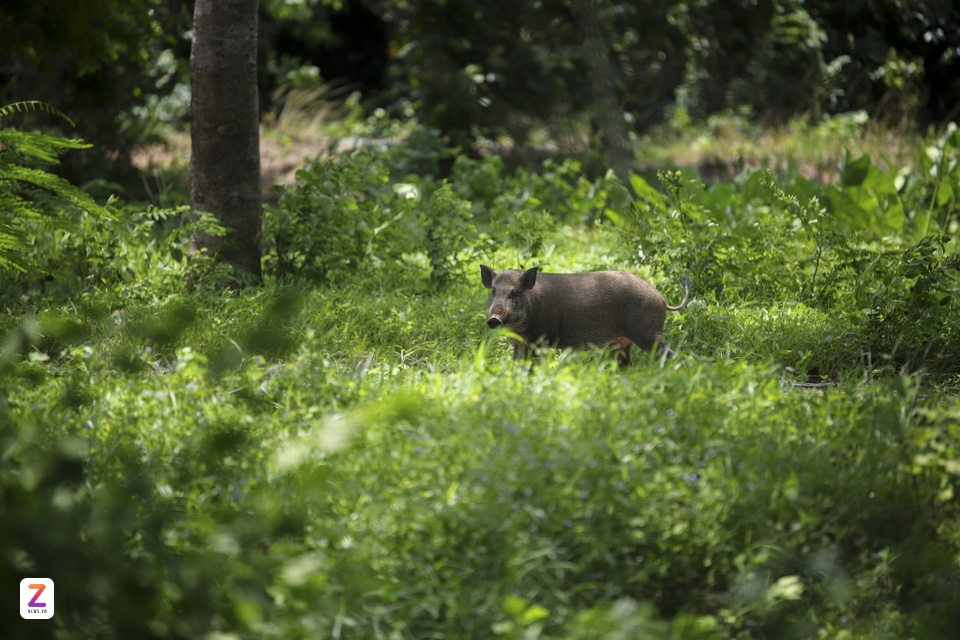 bat dong san binh duong anh 12