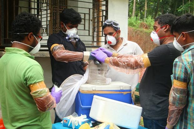 Virus Nipah bung phat anh 1